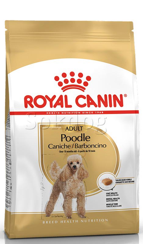 Royal Canin Poodle Adult 1,5kg - Uszkár felnőtt kutya száraz táp