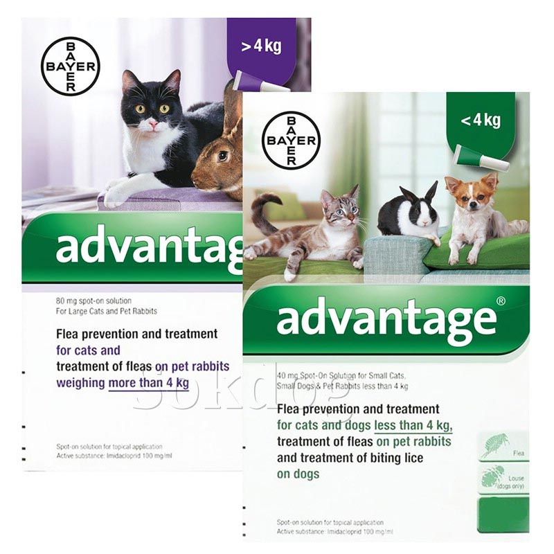 Advantage csepp macskáknak 4kg fölött, 1 db (0,8ml)