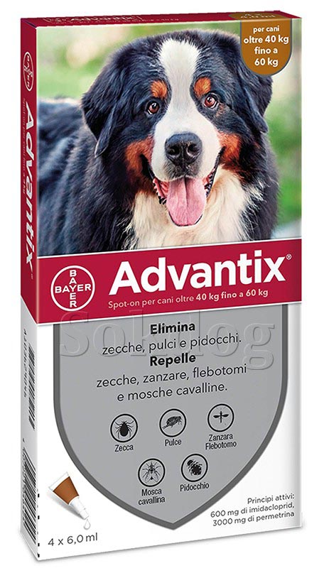 Advantix Spot-on A.U.V. 40-60kg-os kutyáknak, 4db/doboz