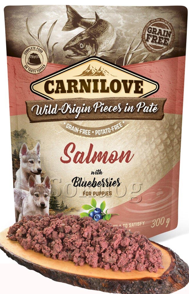 CarniLove Puppy Paté Salmon & Blueberries 300gr