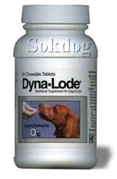 Dyna-Lode tabletta Q10 koenzimmel 50db/doboz