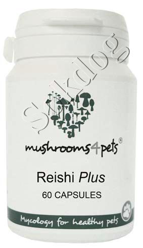 Reishi Plus gyógygomba kapszula 60db/doboz