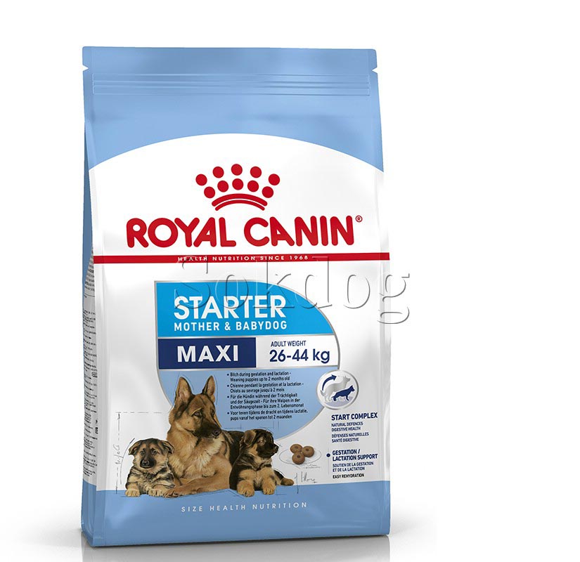 Royal Canin Maxi Starter Mother & Babydog 4kg -  nagy testű kölyök és vemhes kutya száraz táp