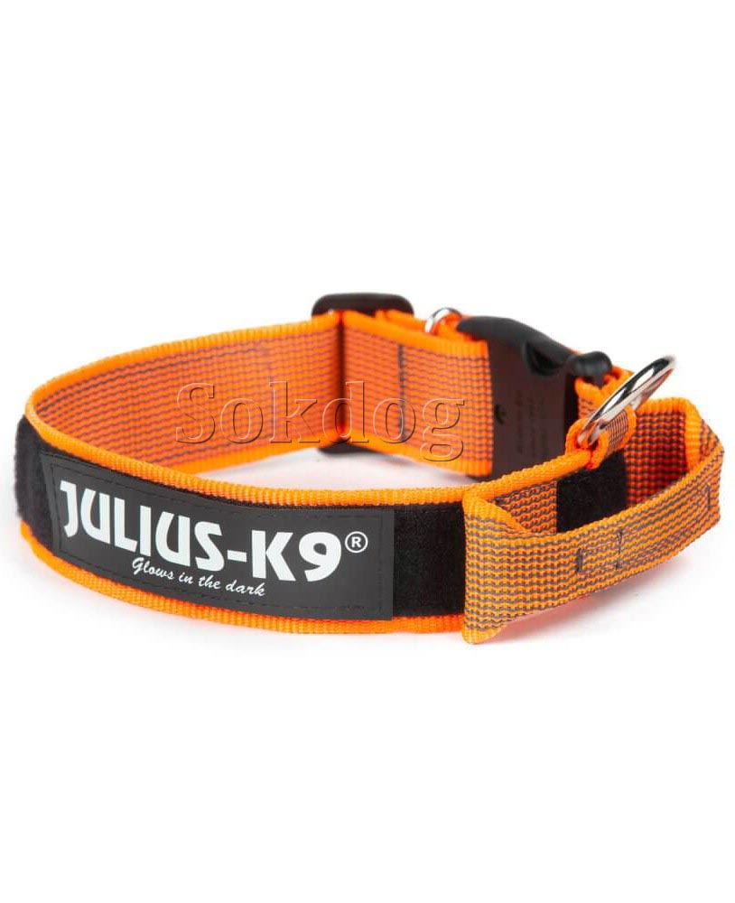 Julius-K9 Color & Grey nyakörv fogóval neon narancs, 50mm, 49-70cm