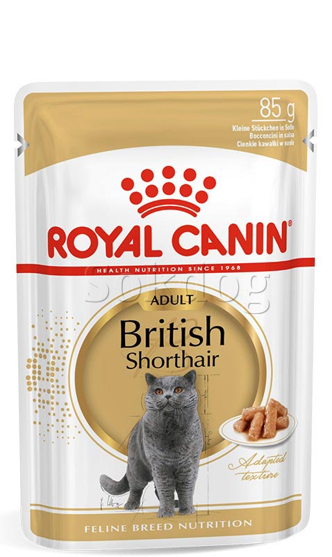 Royal Canin British Shorthair Adult 12*85g - Brit rövidszörű felnőtt macska nedves táp