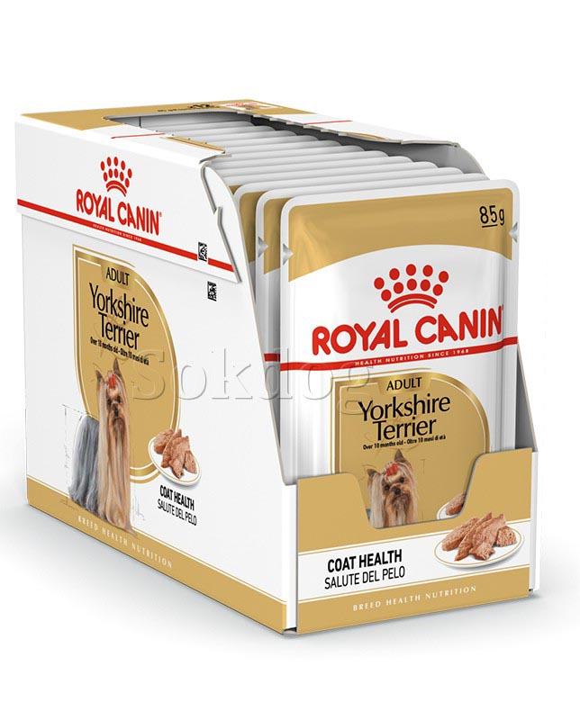 Royal Canin Yorkshire Terrier Adult 12*85g - Yorkshire Terrier felnőtt kutya nedves táp