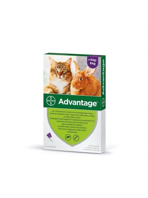 Advantage Spot on 4kg feletti macskák és nyulak részére 4x08ml