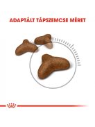 ROYAL CANIN LIGHT WEIGHT CARE - száraz táp felnőtt macskák részére az ideális testsúly eléréséért (0,4 kg)