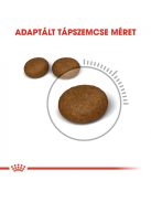 ROYAL CANIN HAIR & SKIN CARE - száraz táp felnőtt macskák részére a szebb szőrzetért és az egészséges bőrért (2 kg)