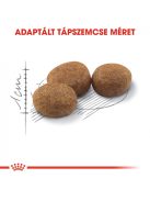 ROYAL CANIN STERILISED - ivartalanított felnőtt macska száraz táp (10 kg)