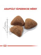 ROYAL CANIN INDOOR - lakásban tartott felnőtt macska száraz táp  (2 kg)