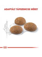 ROYAL CANIN OUTDOOR - szabadba gyakran kijáró, aktív felnőtt macska száraz táp (0,4 kg)