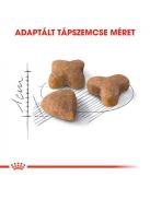 ROYAL CANIN SENSIBLE - érzékeny emésztésű felnőtt macska száraz táp (2 kg)