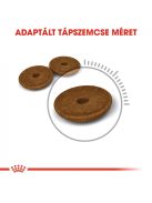 ROYAL CANIN DIGESTIVE CARE - száraz táp érzékeny emésztésű felnőtt macskák részére (0,4 kg)