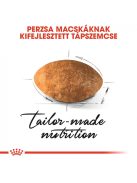 ROYAL CANIN PERSIAN ADULT - Perzsa felnőtt macska száraz táp  (2 kg)