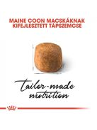 ROYAL CANIN MAINE COON ADULT - Maine Coon felnőtt macska száraz táp  (0,4 kg)