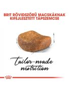 ROYAL CANIN BRITISH SHORTHAIR ADULT - Brit rövidszőrű felnőtt macska száraz táp (0,4 kg)