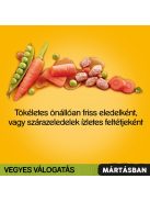 Pedigree Alutasak 12x100g ZÖLD Vegyes Válogatás Mártásban