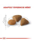 ROYAL CANIN SAVOUR EXIGENT - válogatós felnőtt macska száraz táp  (10 kg)