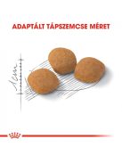 ROYAL CANIN PROTEIN EXIGENT - válogatós felnőtt macska száraz táp  (0,4 kg)