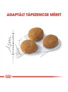 ROYAL CANIN AROMA EXIGENT - válogatós felnőtt macska száraz táp  (0,4 kg)