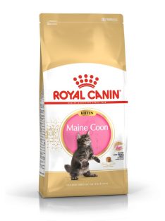   ROYAL CANIN MAINE COON KITTEN - Maine Coon kölyök macska száraz táp (0,4 kg)