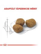 ROYAL CANIN INDOOR 7+ - lakásban tartott idősödő macska száraz táp (1,5 kg)