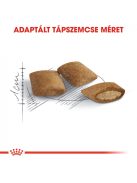 ROYAL CANIN AGEING 12+ - idős macska száraz táp (4 kg)