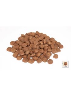 Bonacibo Dog 15kg Puppy Bárány, Szardella + Rizs