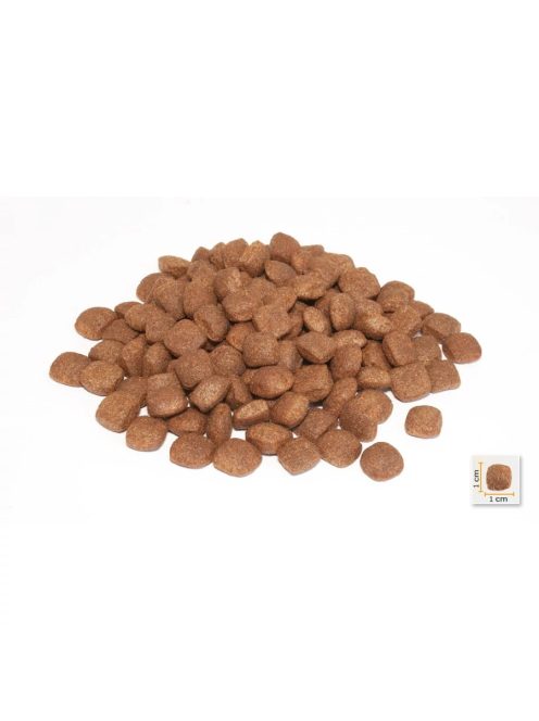 Bonacibo Dog 15kg Puppy Bárány, Szardella + Rizs