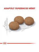 ROYAL CANIN AGEING STERILISED 12+ - ivartalanított idős macska száraz táp  (0,4 kg)