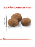 ROYAL CANIN STERILISED 7+ - ivartalanított idősödő macska száraz táp (10 kg)