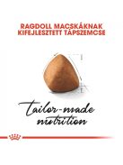 ROYAL CANIN RAGDOLL ADULT - Ragdoll felnőtt macska száraz táp (0,4 kg)