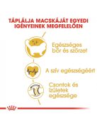 ROYAL CANIN RAGDOLL ADULT - Ragdoll felnőtt macska száraz táp (0,4 kg)