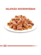 ROYAL CANIN KITTEN JELLY - kölyök macska zselés nedves táp  (12*85g)
