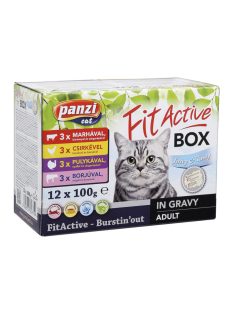 Panzi FitActive FITABOX macska 12x100g 