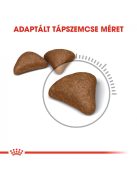 ROYAL CANIN HAIRBALL CARE - száraz táp felnőtt macskák részére a szőrlabdák könnyebb eltávozásáért (0,4 kg)