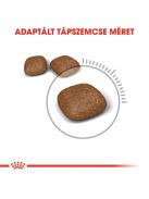 ROYAL CANIN URINARY CARE - száraz táp felnőtt macskák részére az alsó hugyúti problémák megelőzéséért (2 kg)