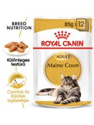 ROYAL CANIN MAINE COON ADULT - Maine Coon felnőtt macska nedves táp  (12*85g)