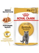 ROYAL CANIN BRITISH SHORTHAIR ADULT - Brit rövidszörű felnőtt macska nedves táp (12*85g)