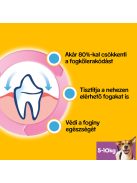 Pedigree DentaStix 110g