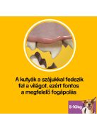 Pedigree DentaStix 110g