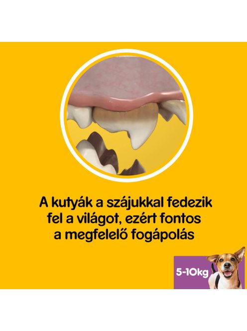 Pedigree DentaStix 110g