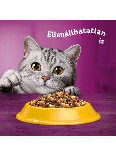   Whiskas 14kg Csirkével száraztáp felnőtt macskák számára