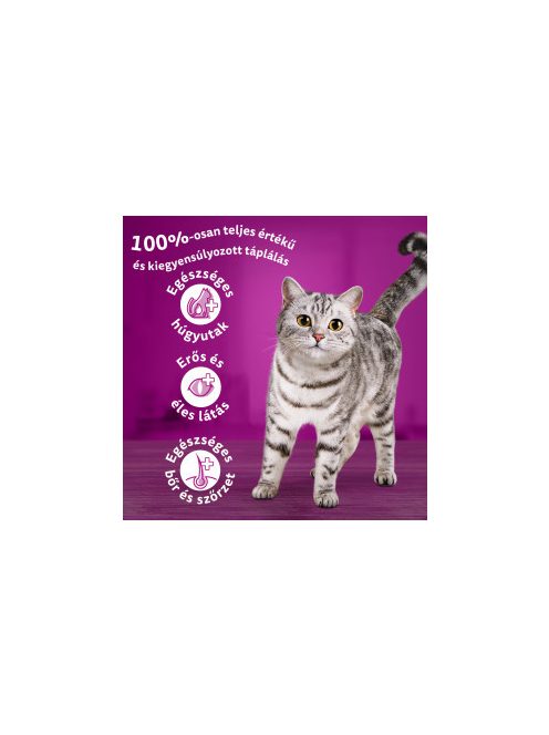 Whiskas 14kg Csirkével száraztáp felnőtt macskák számára