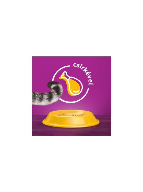 Whiskas 14kg Csirkével száraztáp felnőtt macskák számára