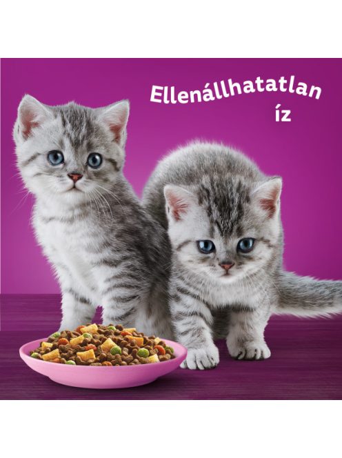 Whiskas 14kg Junior száraztáp kölyökcicák számára csirkével