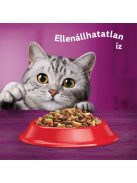 Whiskas 14kg Marhás száraztáp felnőtt macskák számára