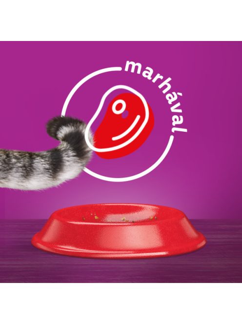 Whiskas 14kg Marhás száraztáp felnőtt macskák számára