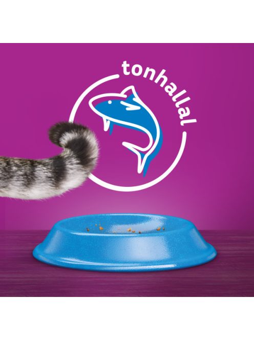 Whiskas 14kg Tonhalas száraztáp felnőtt macskák számára